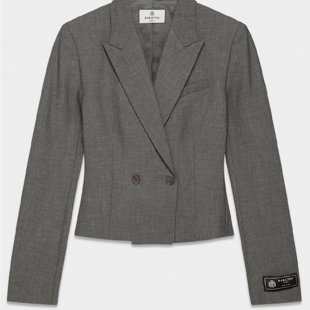 Babaton Gray Classic Blazer with Structured Shoulders